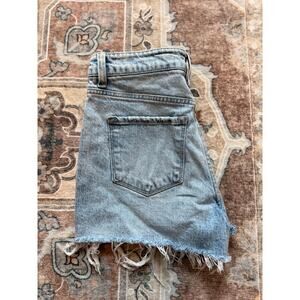 Flying Monkey Jean Shorts